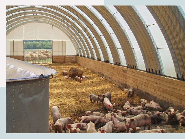 Строительство свинарников в Сальске